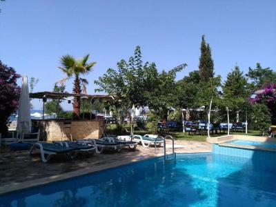Palmiye - 6