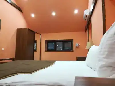 Art Garden Hostel and Tours - 2