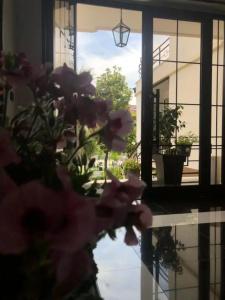 Garden Boutique - 14
