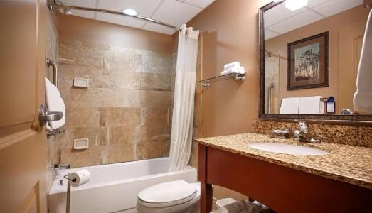 Best Western Plus - 55