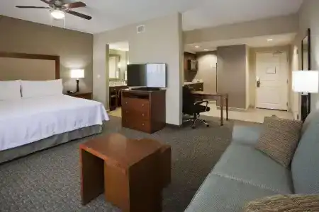 Homewood Suites by Hilton Mayo Clinic-St. Marys Campus - 59