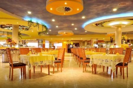 Kaktus Albir - 36