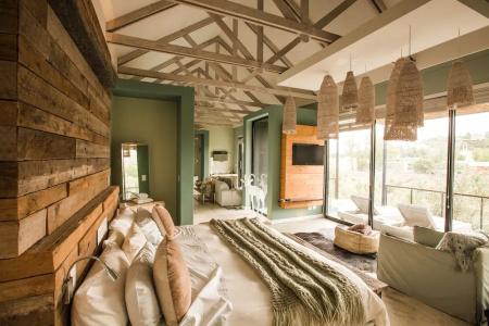 The Olive Exclusive All-Suite - 43