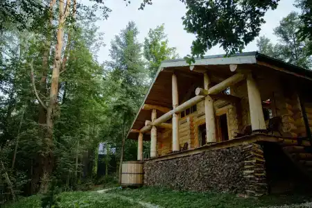 Кедровый - 25