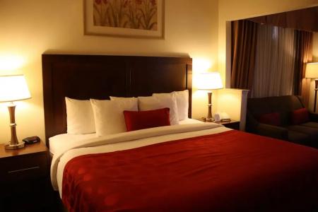 Ramada by Wyndham Denver International Airport - 15