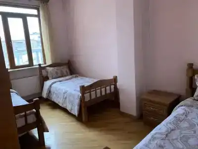 Лотус - 1