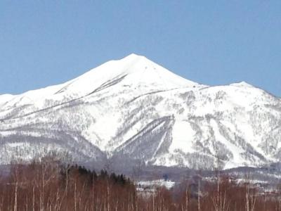 Resort Inn Niseko - 54