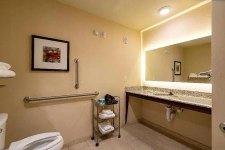 Holiday Inn Murfreesboro/Nashville, An Ihg - 63