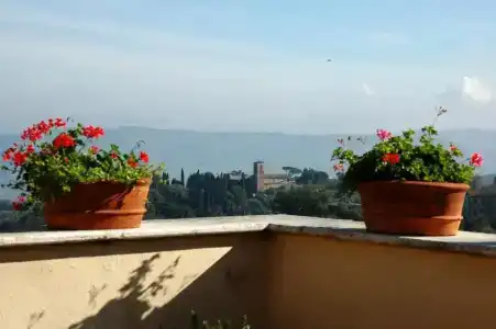 Vecchia Oliviera - 10