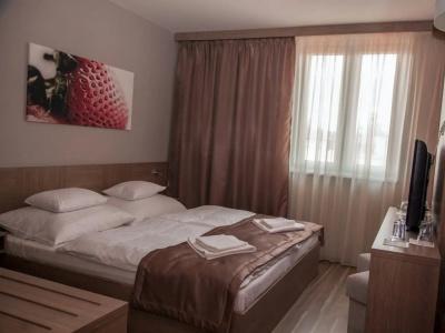 Vitta Superior Budapest - 51