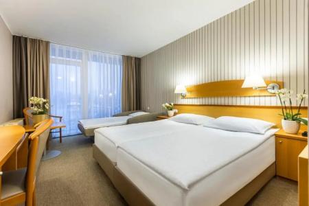 Termal - Terme 3000 - Sava Hotels & Resorts - 44