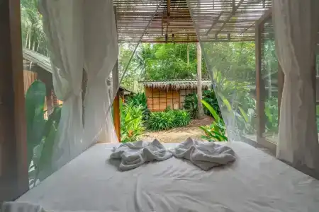 Jungle Koh - 49