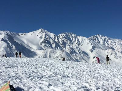 Hakuba Meteor Lodge - 6