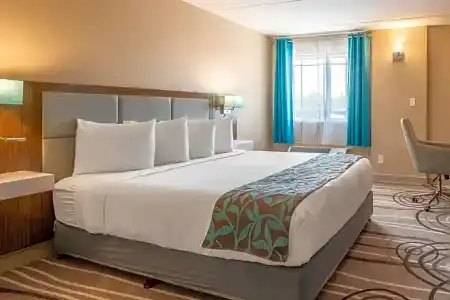 Tucson City Center, Ascend Hotel Collection - 29
