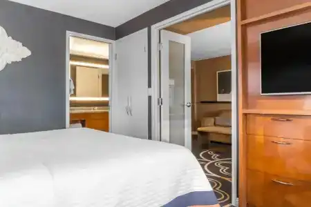 Omni Chicago & Suites Magnificent Mile - 106