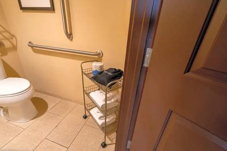Holiday Inn Murfreesboro/Nashville, An Ihg - 92