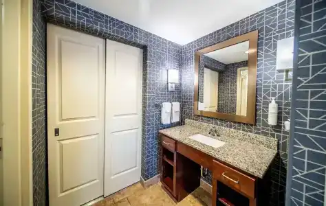 Homewood Suites by Hilton Mayo Clinic-St. Marys Campus - 40