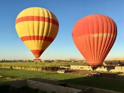 New Memnon - 19