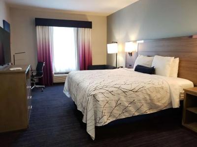 Best Western Plus San Antonio East Inn & Suites - 31