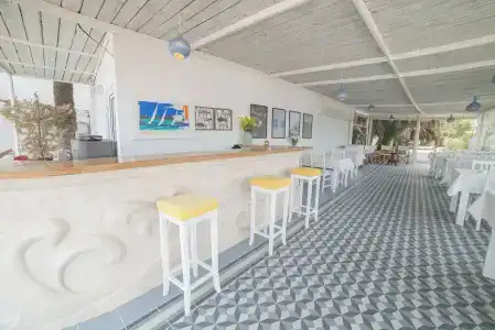 Madda - 12