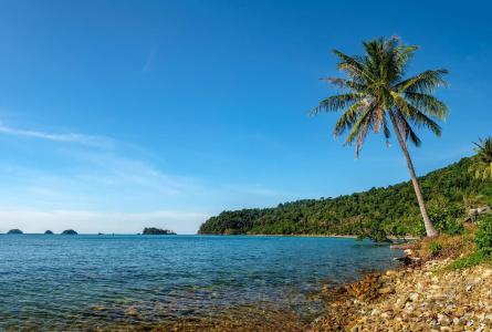 Lonely Beach Resort - 11