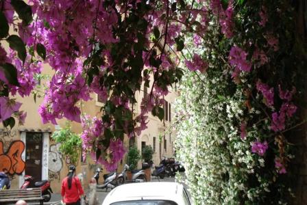 b&b Ventisei Scalini a Trastevere - 131