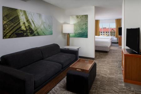 SpringHill Suites by Marriott Orlando Convention Center - 16