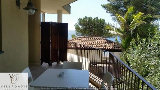 Residence Oasis - 114