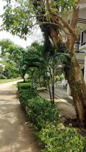 Amity Beach Resort - 53