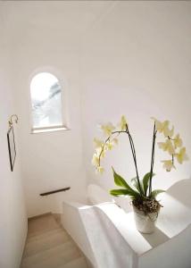b&b Il Sogno - 0