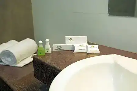 Vinaya Royal Inn - 31