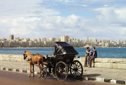Four Seasons Alexandria At San Stefano - 18