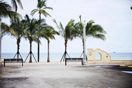 The Dolphin - 6