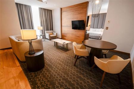 Doubletree By Hilton Mexico City Santa Fe - 44