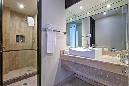 Ayenda Imperial Reforma - 71