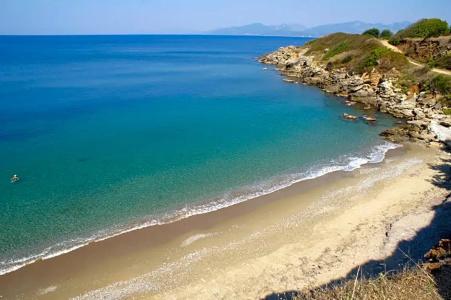 Dionisos - 50