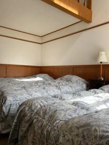 Hakuba Meteor Lodge - 161