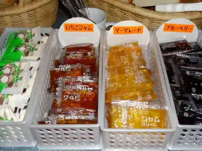 Apa Nagano - 27