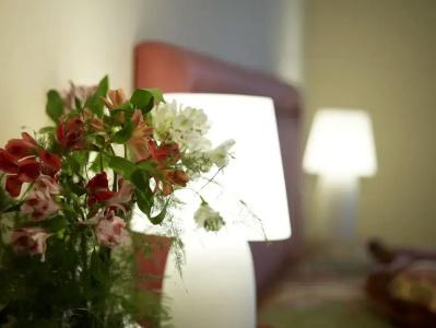 Du Lac Congress Center & Spa - 81