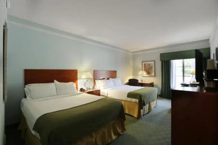 Holiday Inn Express North Telecom Park, An Ihg - 49