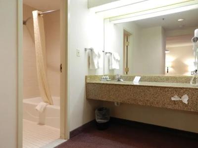 Ashmore Inn and Suites - 30