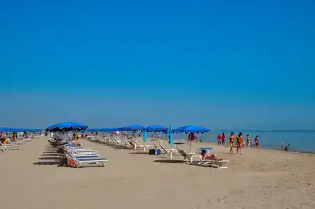 Isola di Capo Nord - 15