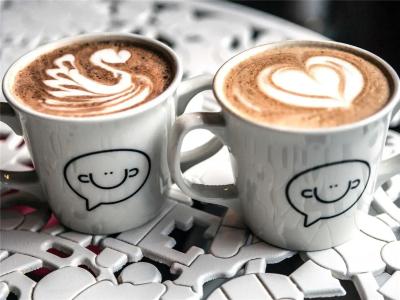 ibis Styles Genève Carouge - 18