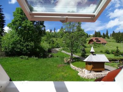 Schwarzwald ApartKräutle - 28