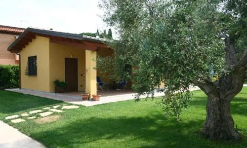 L'Antico Vigneto - 23