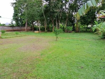 Organic Garden Sigiriya - 16