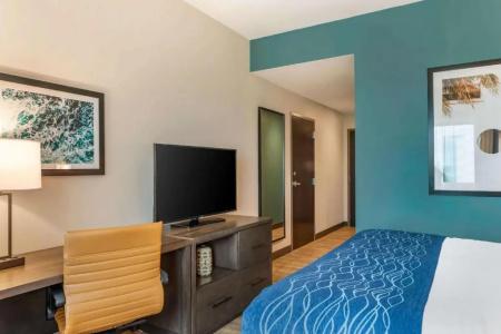 Comfort Inn & Suites Miami International Airport - 33