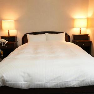 Alpha Inn Akita - 40