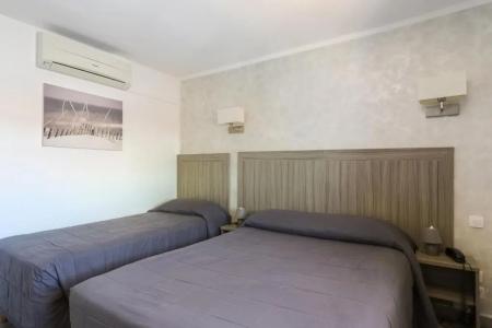 Les Palmiers En Camargue - 29