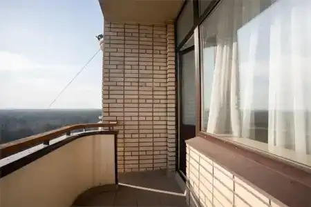 Пушкино - 38